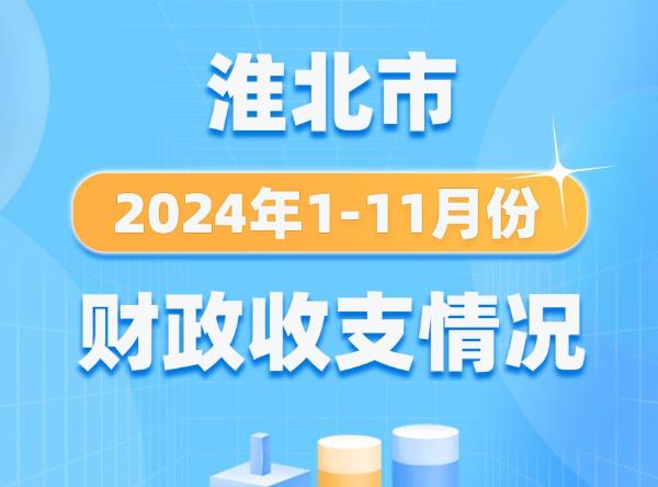 淮北市2024年1-11月份財政收支情況