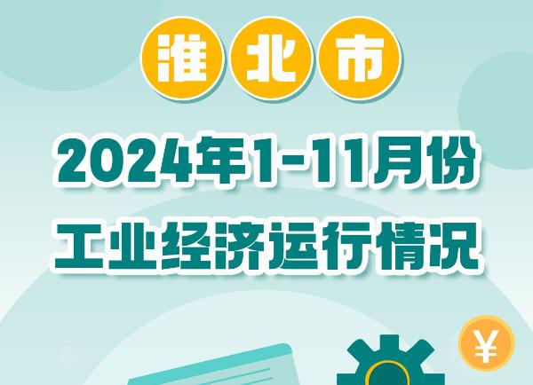 淮北市2024年1-11月份工業經濟運行情況