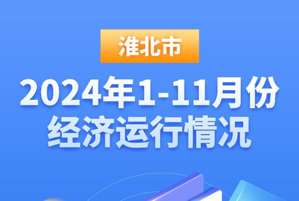 淮北市2024年1-11月份經濟運行情況